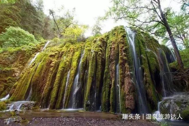 小狗救援行动选关版