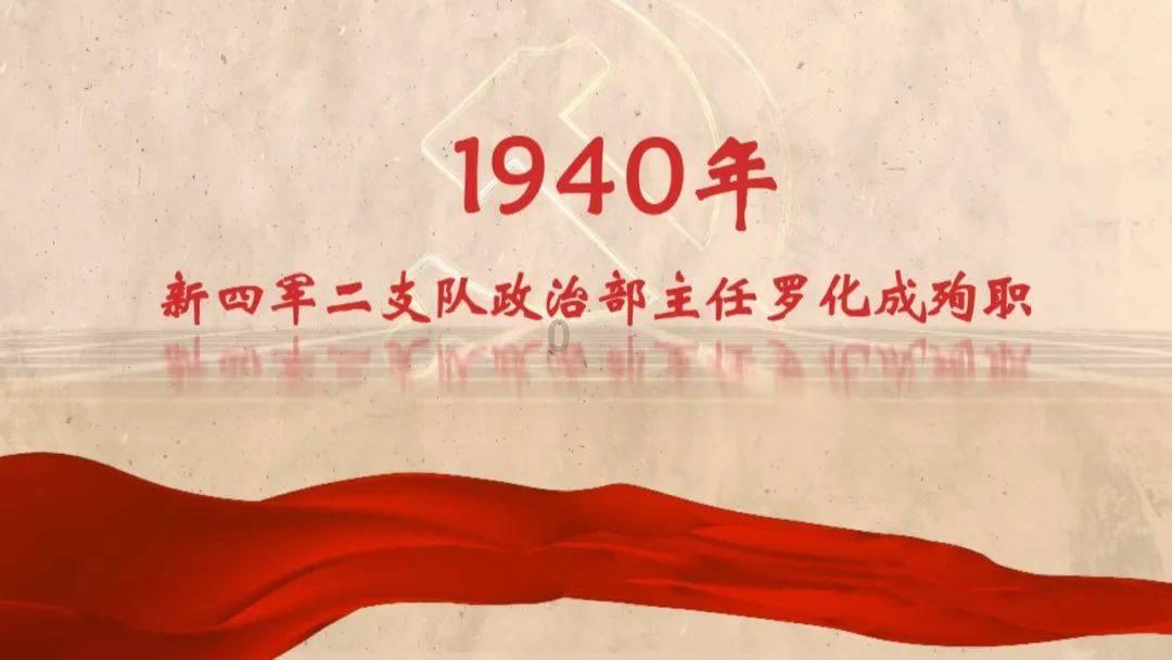蓝狐视频