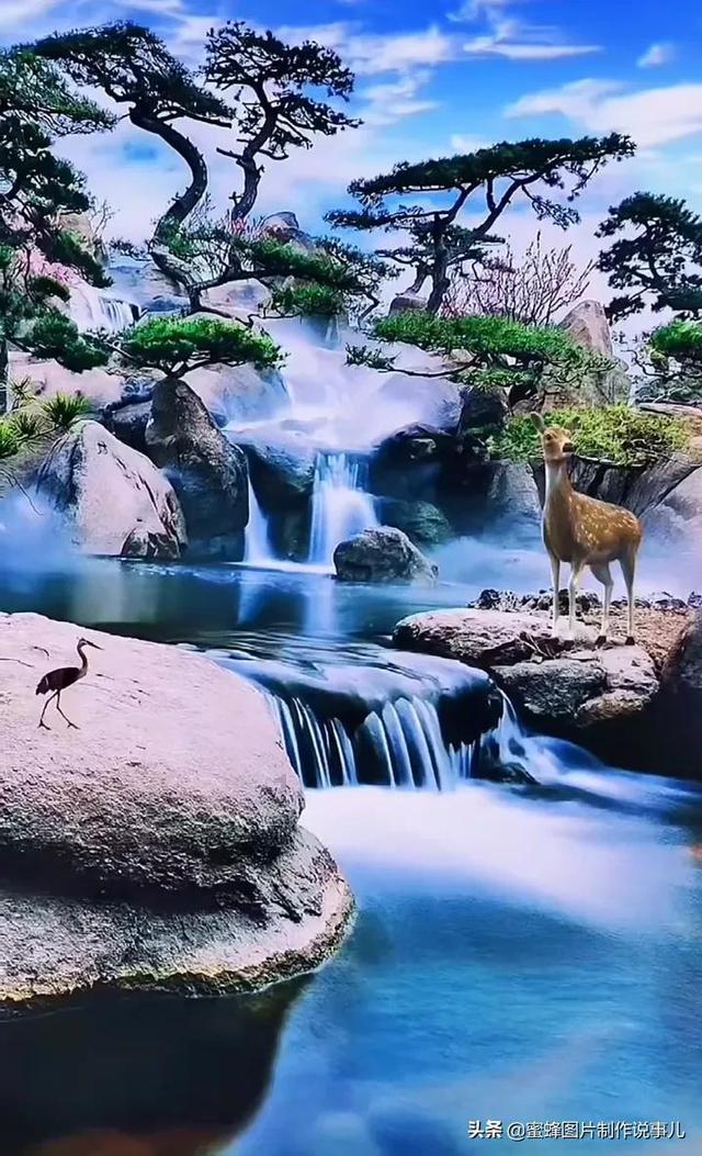 御龙在天手游