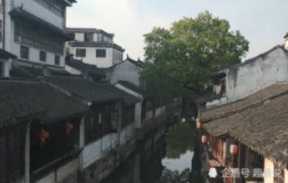 逗小猴开心系列164